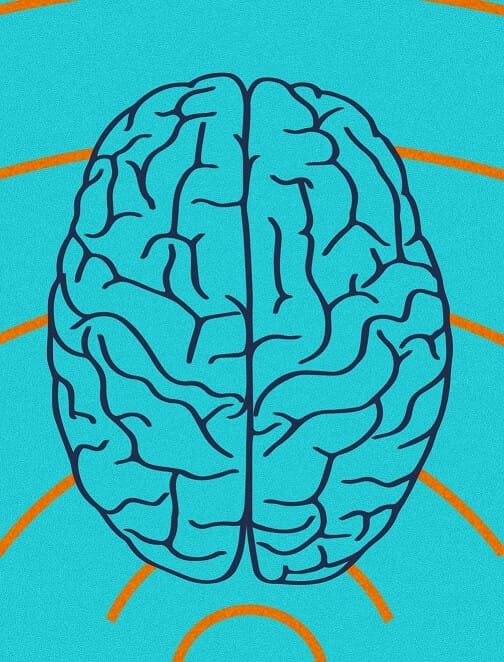 header brain